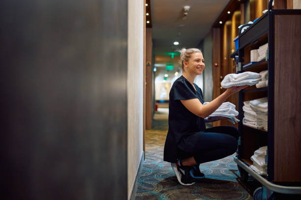 Maid working in a guest Home